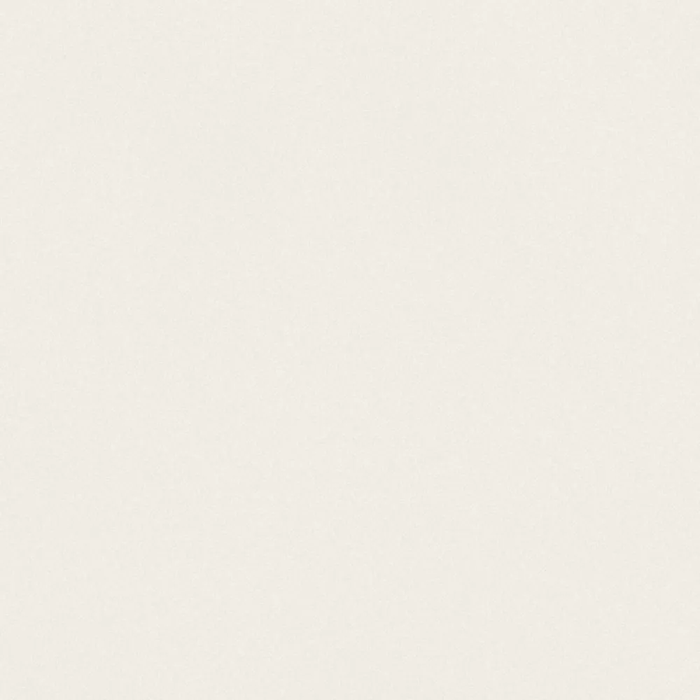 ABSOLUTE WHITE