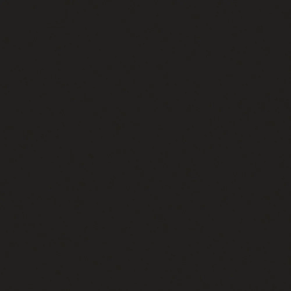 ABSOLUTE BLACK